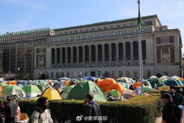 好牛配资 除了哈佛美多所高校遭打压！特朗普为啥“围剿”多所顶尖大学？