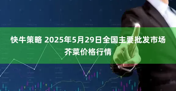快牛策略 2025年5月29日全国主要批发市场芥菜价格行情